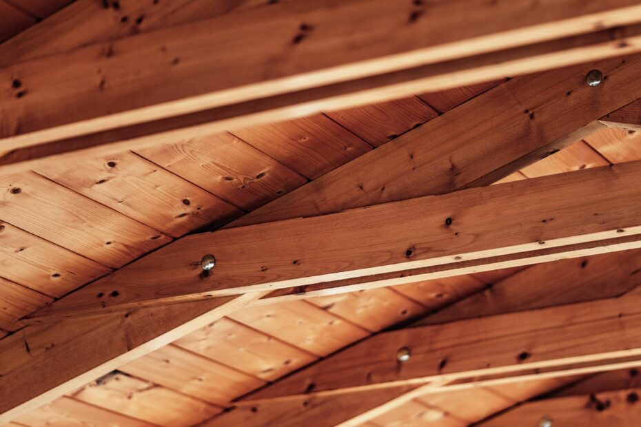 Diagnostic termites obligatoire : inspection d'une charpente en bois par un diagnostiqueur certifié